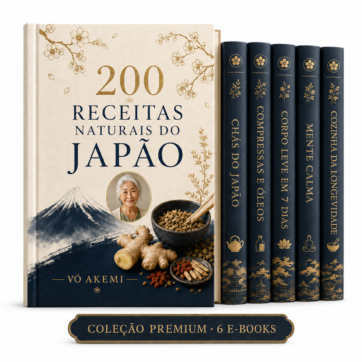 Coleção Premium 200 Receitas Naturais do Japão da Vó Akemi